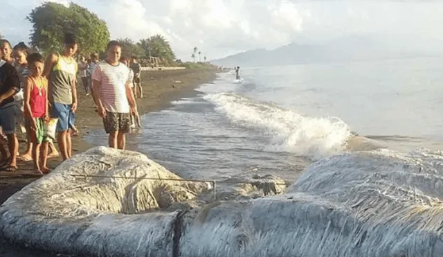 YouTube: la terrorífica criatura marina que causó pánico en Filipinas [VIDEO]