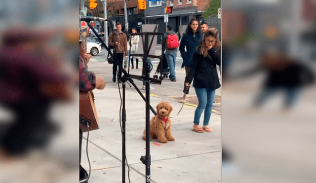Vía YouTube. El cachorro detuvo el paseo con su dueña en plena avenida y su adorable conducta ante show de artista callejero conmovió a todos