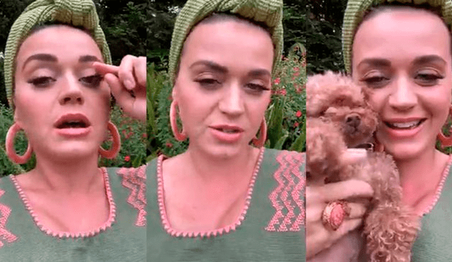 Katy Perry comparte el ultrasonido de su bebé en Instagram