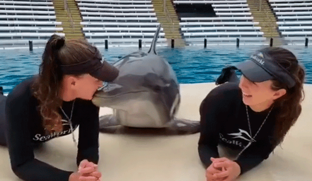 Facebook viral: delfín besa a dos chicas de forma efusiva y enternece las redes sociales [VIDEO]
