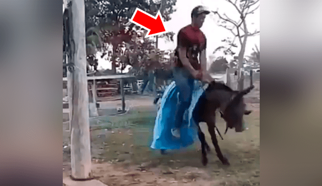 Facebook viral: chico confunde mula salvaje con caballo, se monta y pasa vergüenza [VIDEO] 