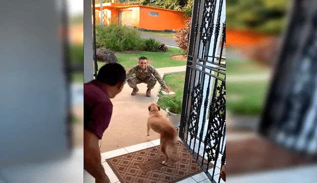 En YouTube, un joven militar retornó a su hogar tras meses de ausencia y recibió un tierno abrazo de su mascota.