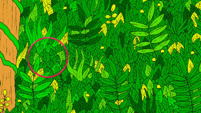 Desliza las imágenes para ver el lugar exacto en el que esta serpiente se encuentra oculta. Foto: dudolf.com
