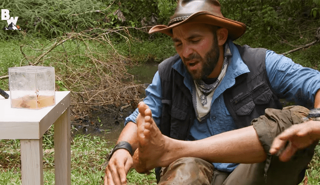 Un video muestra al popular 'Coyote' Peterson siendo mordido por una chinche de agua gigante.