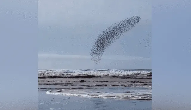 YouTube viral: capta extraña ‘mancha’ que se mueve en el cielo, hace zoom y descubre algo maravilloso [VIDEO]