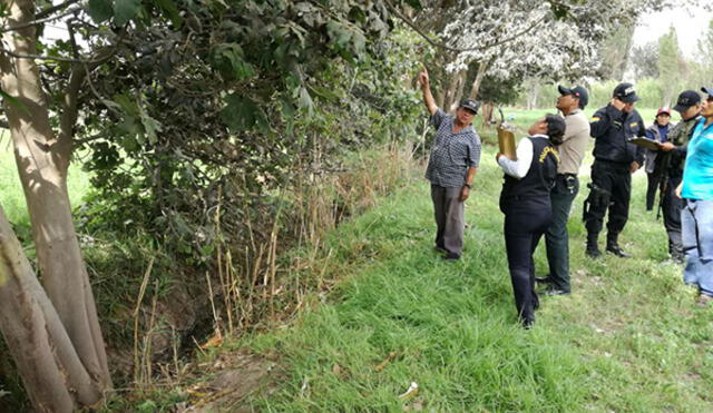 Moquegua: Hombre muere tras caer de árbol de pacay