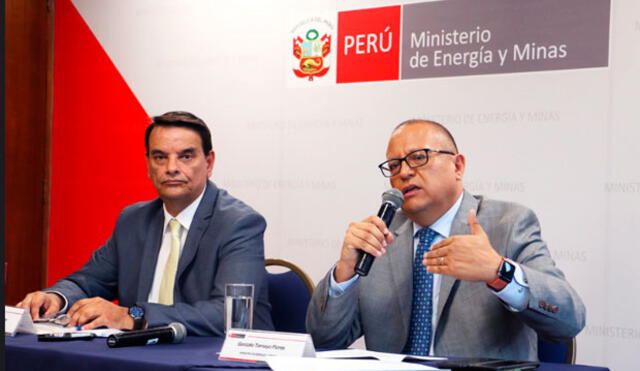 Ejecutivo anuncia retiro de concesión de Gasoducto Sur