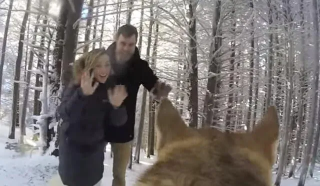 Vía Facebook: perro con cámara GoPro grabó imágenes inéditas de la boda de sus dueños [VIDEO]