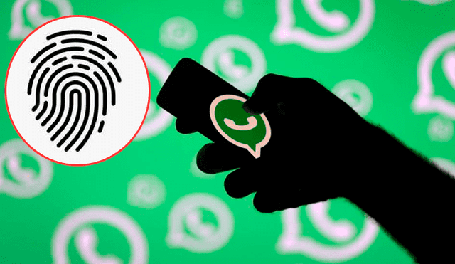 WhatsApp Viral: ahora los usuarios podrán usar su huella dactilar para proteger sus chats