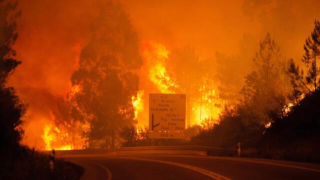 Portugal: Incendio forestal ha dejado al menos 61 muertos 