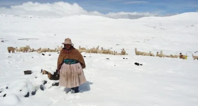 Las zonas más frías del sur se encuentran en los límites de Puno, Moquegua y Tacna 