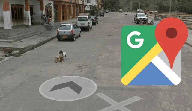 Google Maps: Joven que hizo 'zoom' descubre el curioso secreto que ocultaban este par de perritos [FOTOS] 