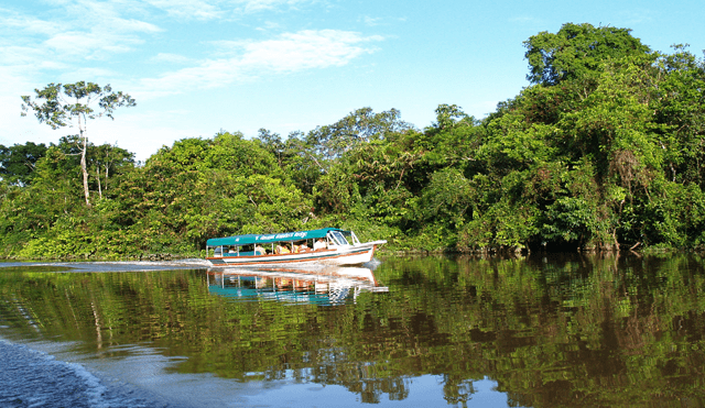 Congreso aprueba ley de Promoción de la Amazonía sostenible, ¿en qué consiste?