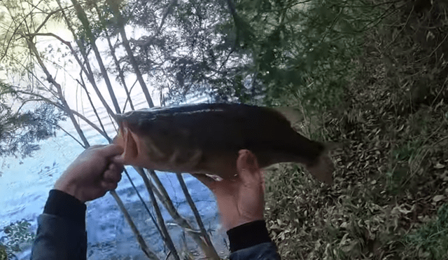 Pescador emerge su mano dentro de un misterioso río de Brasil.