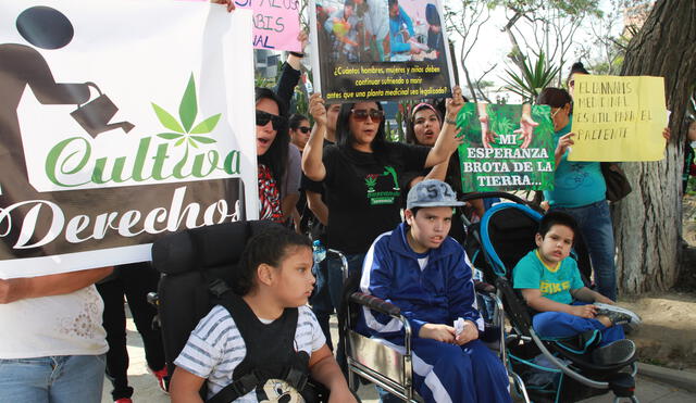 En Perú 80 pacientes se tratan con aceite de marihuana