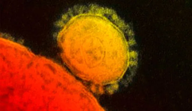 Imagen del coronavirus Mers-Cov, que apareció en Medio Oriente en 2012.