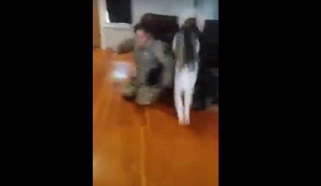 Desliza para ver la reacción del perro husky siberiano. Foto: YouTube/Captura/Taryn Dennison