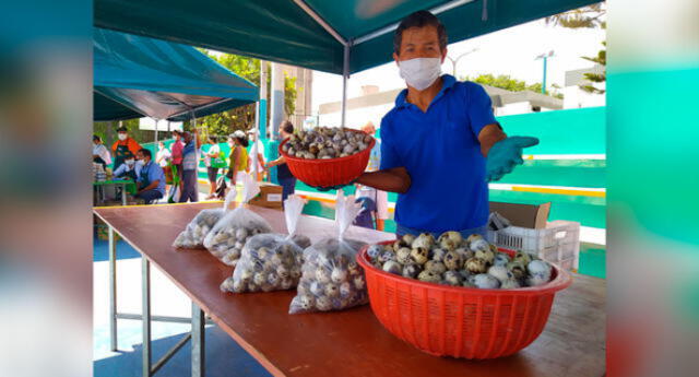 Criador de codornices ahora se halla en mercado del Minagri. Foto: Difusión
