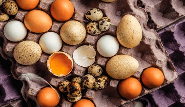Día Mundial del Huevo: ¿Cuántas veces al día puede consumir este alimento?