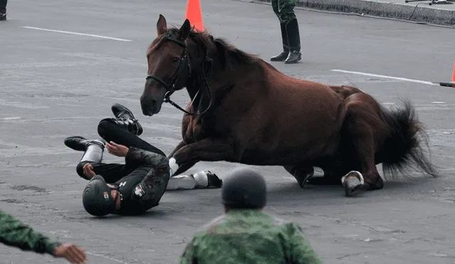 Jinete y su caballo sufren dura caída durante desfile aniversario de la Revolución Mexicana [VIDEO]