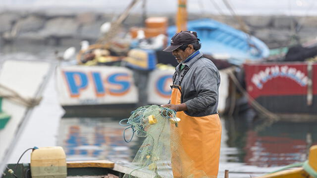 Más de 2 mil familias se benefician con proyecto para pescadores artesanales