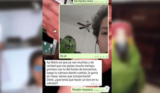 Desliza para conocer los detalles de esta historia que se viralizó en YouTube. Foto: Captura.