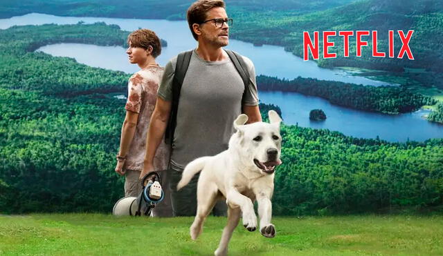 "Perro perdido" es la película más vista en Perú en el streaming. Foto: Netflix