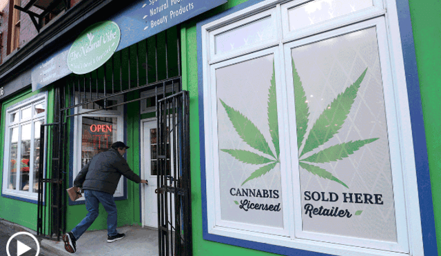 Continúa la escasez de marihuana en Canadá tras legalizar su consumo