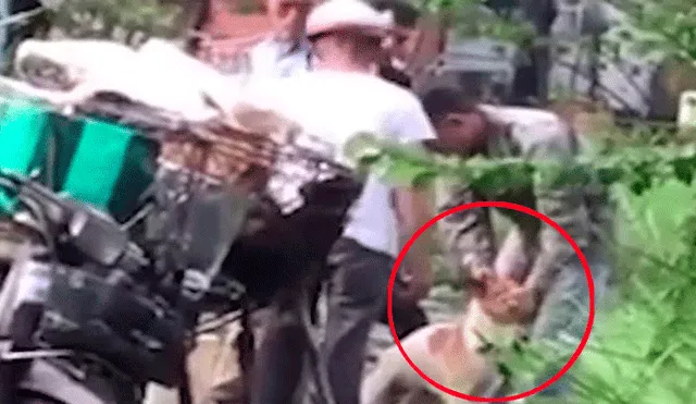 El incidente ocurrido en Vietnam fue captado en video, donde se puede ver al animal con la boca atada a punto de ser sometido a la agresión.