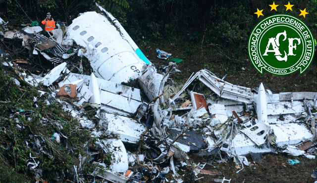 Azafata sobreviviente de la tragedia aérea de Chapecoense volverá a volar. | Foto: AFP