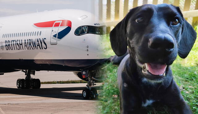 El can estuvo bajo la responsabilidad de la aerolínea British Airways. Foto: composición LR/NPR cortesía  familia Miller/Alamy