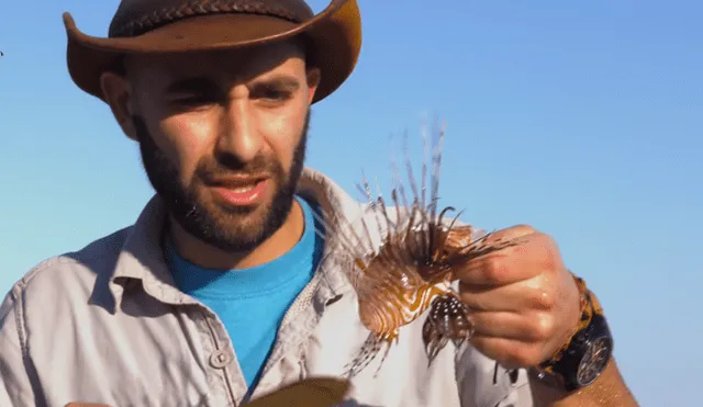 Un video viral muestra al famoso 'Coyote' Peterson siendo picado por un venenoso pez león.