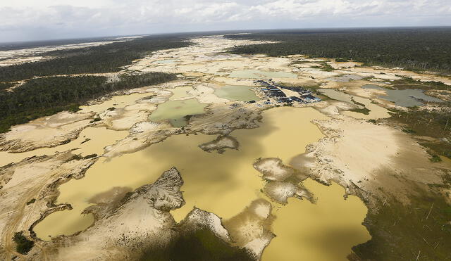 Destrucción. Cambio de uso de los suelos sin mayor trámite fomentará la pérdida de bosques, alertan el Minam y la Defensoría. Foto: La República