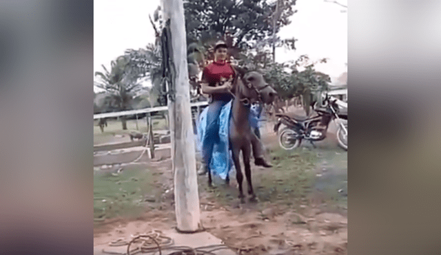 Facebook viral: chico confunde mula salvaje con caballo, se monta y pasa vergüenza [VIDEO] 