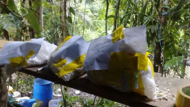 Vraem: Allanan 3 laboratorios y frustran elaboración de 500 kilos de cocaína a la semana