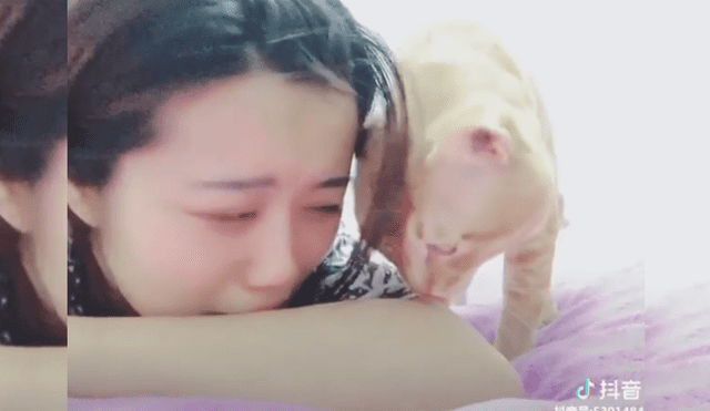Video es viral en TikTok. La joven fingió llorar delante de su gato, sin imaginar la peculiar conducta que tendría el felino al verla aparentemente sufriendo.
