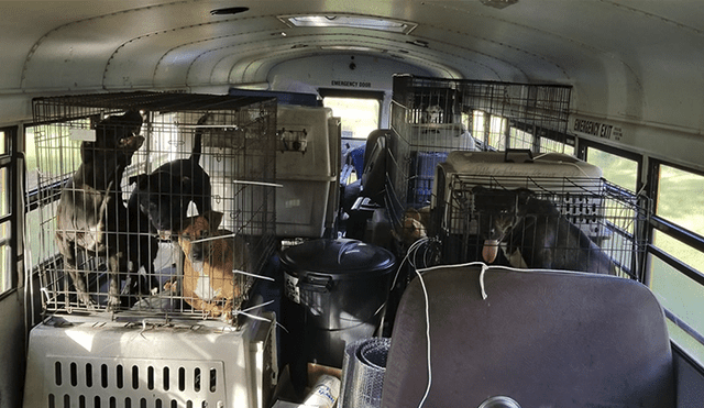 Recorre zonas afectadas por huracán Florence rescatando mascotas abandonadas