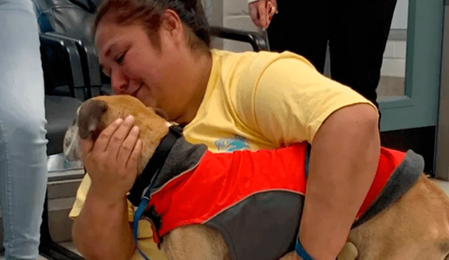 Mujer y mascota perdida protagonizan emotivo reencuentro tras diez años de separación [VIDEO]