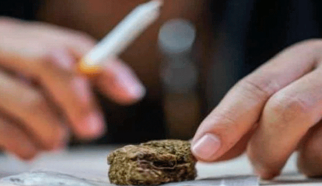 Empresa ofrece millonario sueldo a personas que ‘prueben’ la calidad de su marihuana