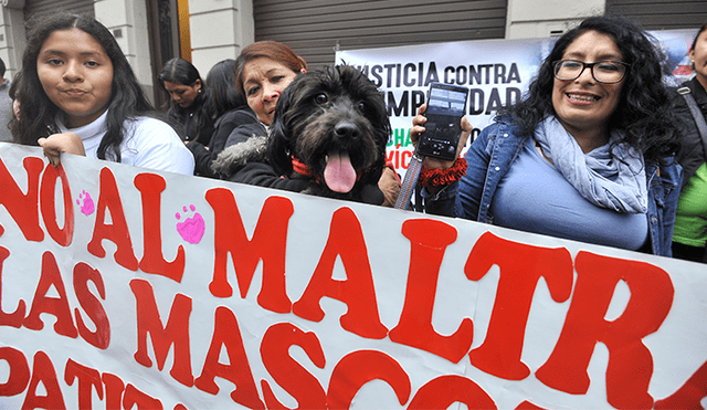 Activistas marchan contra el maltrato animal junto a sus mascotas [FOTOS]