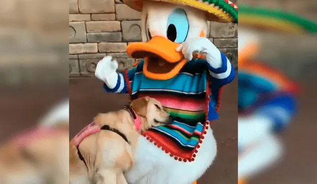 En YouTube, un perro acudió con su familia a un centro de diversiones de Disney y se encontró con el ‘Pato Donald’.