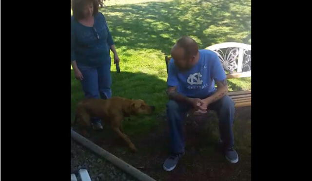Facebook: Conmovedor reencuentro entre un perro y su amo que acababa de salir del hospital [VIDEO]