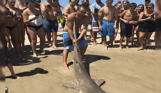 Twitter: Bañistas sacan a un tiburón del agua para tomarse ‘selfies’ [FOTO]
