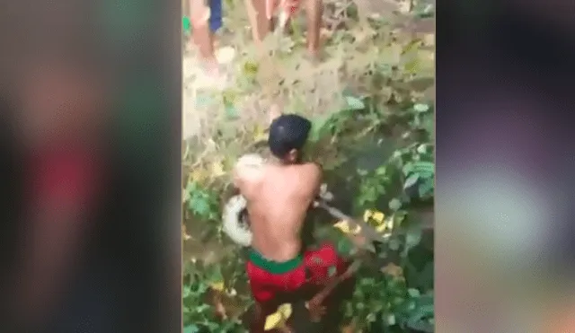 Desliza hacia la izquierda para ver el momento en que un osado hombre atrapa a una serpiente pitón, escena viral de YouTube.