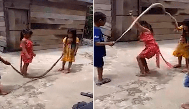 Niños juegan a la cuerda con serpiente muerta [VIDEO]