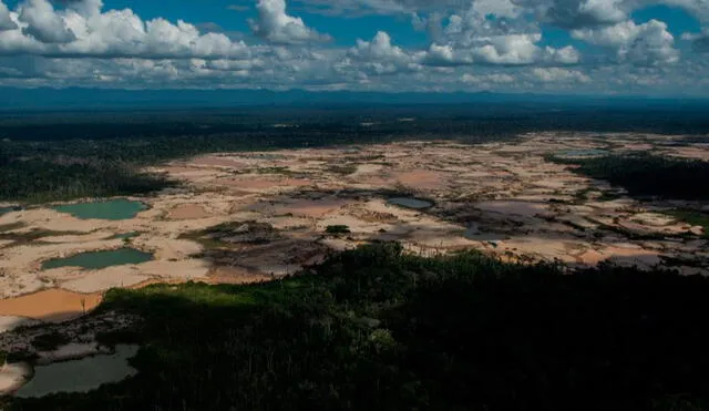 En 2012, la minería ilegal lavaban cerca de 13 millones de dólares. Foto: AFP