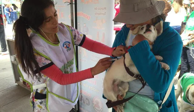 Huancayo: Campaña de vacuna anti rábicas tiene como meta pasar los 66 mil perros vacunados