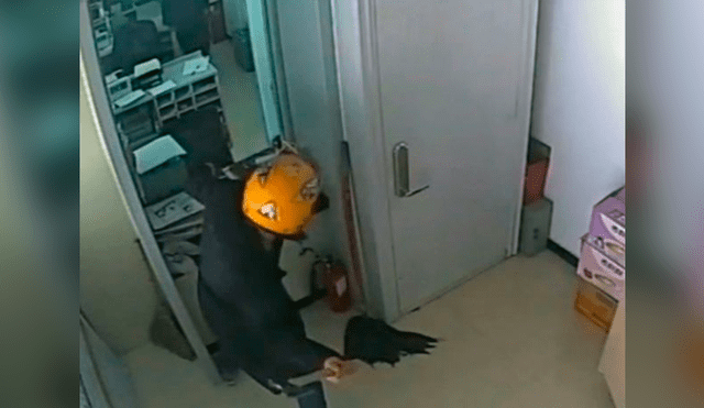 Ladrón golpea una ventana blindada con un hacha para intentar robar un banco [VIDEO]