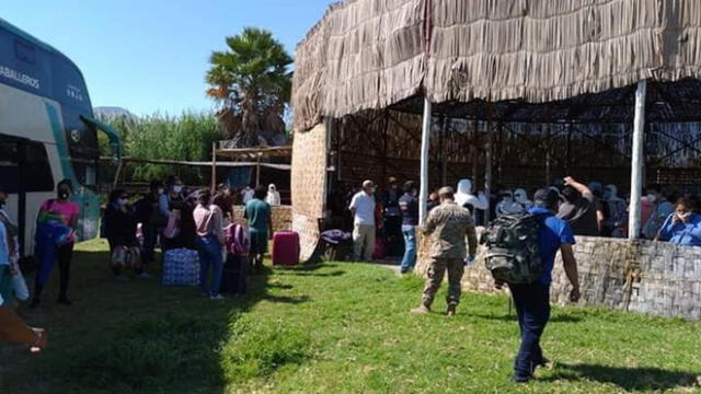 Este sábado, un grupo de 196 ciudadanos retornaron a Moquegua procedentes de Lima.