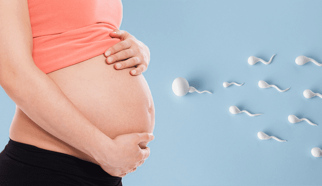 ¿Desde qué edad los espermatozoides pueden generar un embarazo?